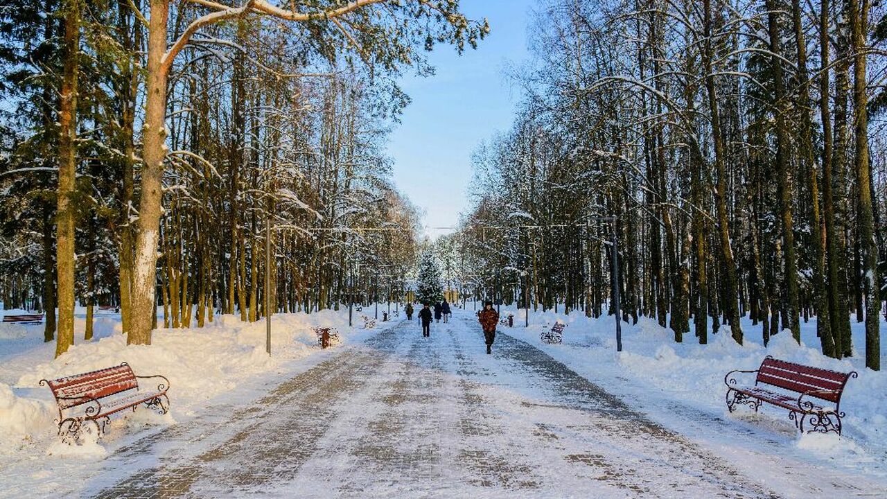 В Мари-Туреке состоялась памятная церемония воз...