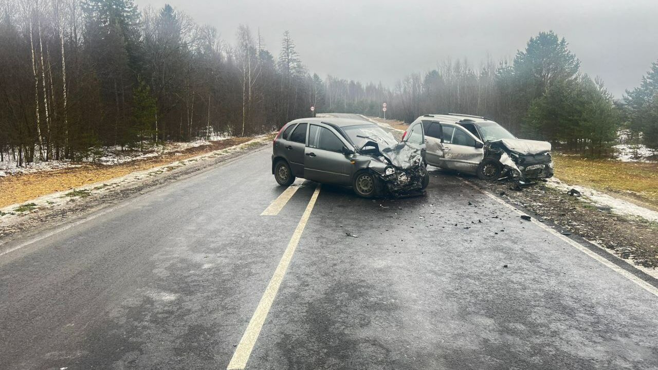 Сегодня утром на 3-м километре дороги Параньга ...