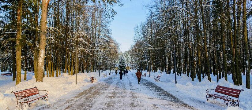 В Мари-Туреке в Центральном парке появится летн...