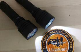 14 заявок на поиски получили волонтеры "ЛизаАле...